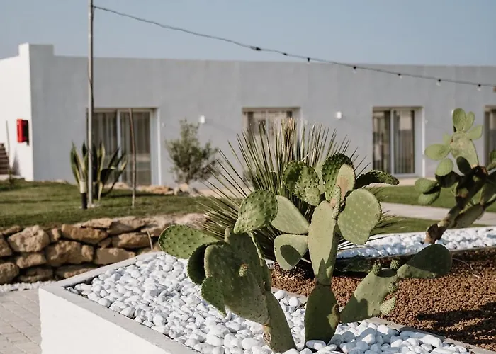 Cantine De Mare - Wine And *