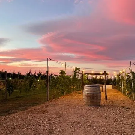 Cantine De Mare - Wine And Resort