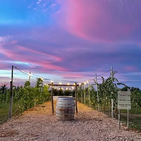 Feriested Cantine De Mare - Wine And Cirò Marina