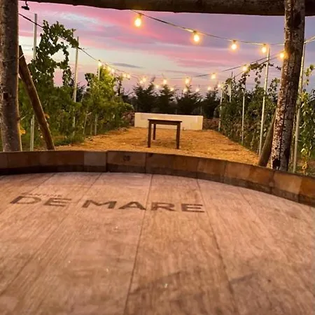 Cantine De Mare - Wine And Resort * Чиро-Марина