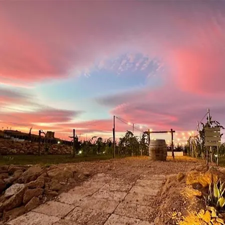 Cantine De Mare - Wine And Resort